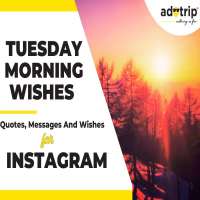 tuesday morning wishes, quotes and captions for instagram